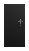 Wippe 2-fach links Symbol "Licht" 2-fach schwarz matt - Busch-balance® SI   