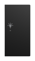 Wippe 2-fach rechts, mit Symbol "Licht" Busch-balance® SI