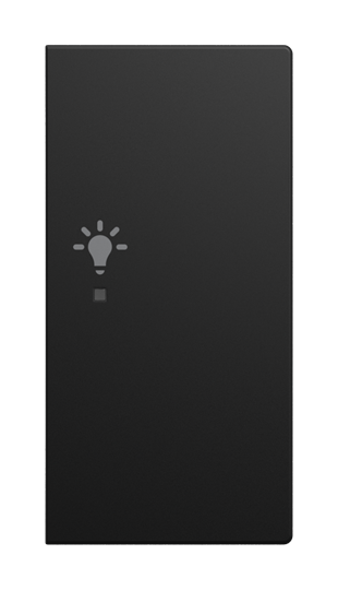 Wippe 2-fach rechts, mit Symbol "Licht"  Busch-balance® SI   