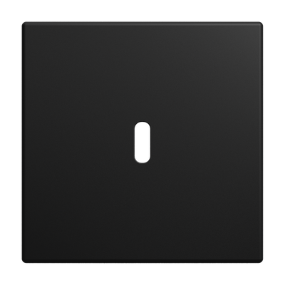 Zentralscheibe USB-C-Power-Netzteil-Einsatz 65WBusch-balance® SI   