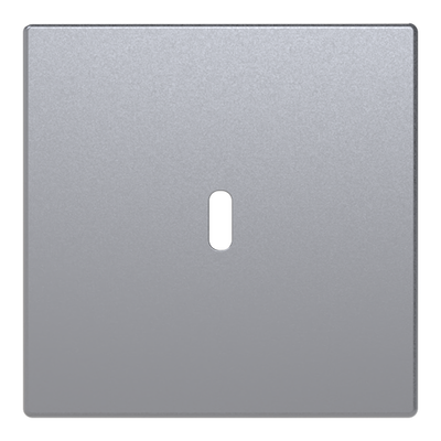 Zentralscheibe USB-C-Power-Netzteil-Einsatz 65W   