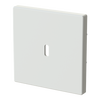 Zentralscheibe USB-C-Power-Netzteil-Einsatz 65W   