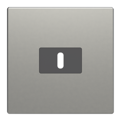 Zentralscheibe USB-C-Power-Netzteil-Einsatz 65Wpur edelstahl   