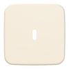 Zentralscheibe USB-C-Power-Netzteil-Einsatz 65W   