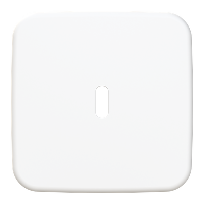 Zentralscheibe USB-C-Power-Netzteil-Einsatz 65W   