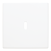 Zentralscheibe USB-C-Power-Netzteil-Einsatz 65WBusch-balance® SI   