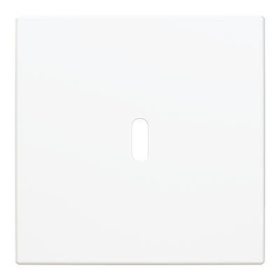 Zentralscheibe USB-C-Power-Netzteil-Einsatz 65WBusch-balance® SI   