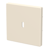 Zentralscheibe USB-C-Power-Netzteil-Einsatz 65W   
