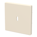 Zentralscheibe USB-C-Power-Netzteil-Einsatz 65W