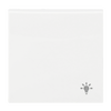 Wippe mit Aufdruck Mit Symbol "Licht"Busch-balance® SI   