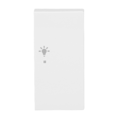 Wippe 2-fach rechts, mit Symbol "Licht" Busch-balance® SI