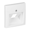 Zentralscheibe UAE/IAE (ISDN) 1-fach alpinweiß - Busch-balance® SI   
