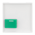 Zentralscheibe Busch-balance® SI