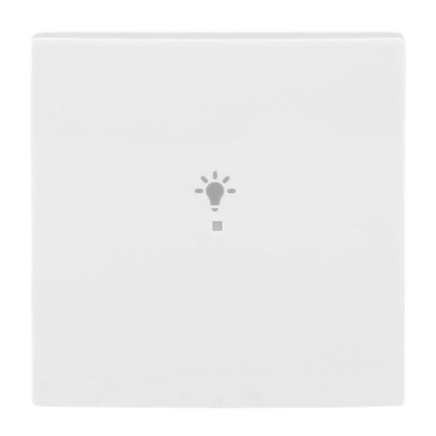 Wippe 1-fach, mit Symbol "Licht" Busch-balance® SI