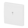 Wippe 1-fach, mit Symbol "Licht"  Busch-balance® SI   