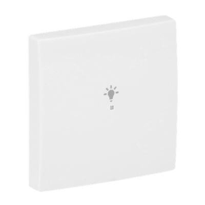 Wippe 1-fach, mit Symbol "Licht"  Busch-balance® SI   