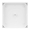 Wippe 1-fach, mit Symbol "Licht"  Busch-balance® SI   