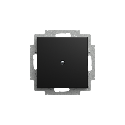 Zentralscheibe mit Tragring für Blindabdeckung 1-fach mit Tragring schwarz matt