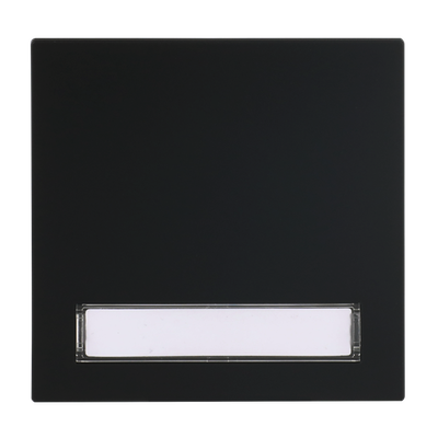 Wippe mit Beschriftungsfeld für Taster, 1-fach schwarz matt - Busch-art linear®