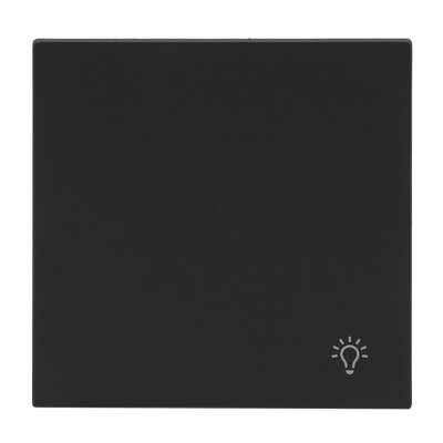 Wippe mit Aufdruck Symbol "Licht" für Taster, 1-fach schwarz matt - Busch-art