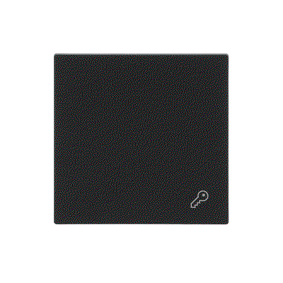 Wippe mit Aufdruck Symbol "Schlüssel" für Taster, 1-fach schwarz matt -