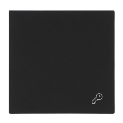 Wippe mit Aufdruck Symbol "Schlüssel" für Schalter/Taster, 1-fach schwarz matt