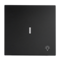 Wippe mit Aufdruck Symbol "Licht" mit kleiner transparenter Kalotte für