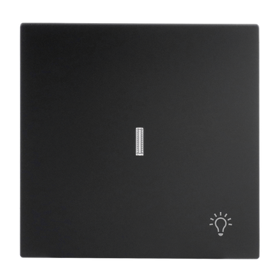 Wippe mit Aufdruck Symbol "Licht" mit kleiner transparenter Kalotte für