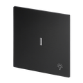 Wippe mit Aufdruck Symbol "Licht" mit kleiner transparenter Kalotte für