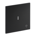 Wippe mit Aufdruck Symbol "Licht" mit kleiner transparenter Kalotte für