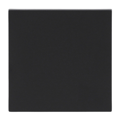 Wippe für Smart Switch 1-fach schwarz matt - Busch-art linear®