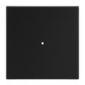 Wippe mit kleiner transparenter Kalotte 1-fach schwarz matt - Busch-art linear®