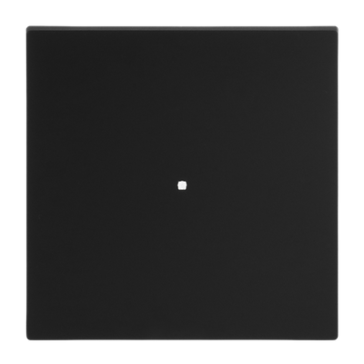 Wippe 1-fach schwarz matt - Busch-art linear®   