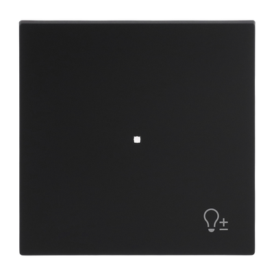 Wippe 1-fach, mit Symbol "Dimmer" schwarz matt  Busch-art linear®   