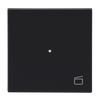 Wippe Symbol "Szene" 1-fach schwarz matt - Busch-art linear®   