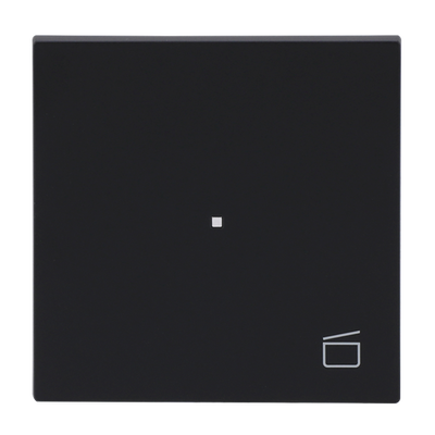Wippe Symbol "Szene" 1-fach schwarz matt - Busch-art linear®   
