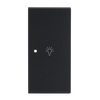 Wippe 2-fach rechts Symbol "Licht" 2-fach schwarz matt - Busch-art linear®