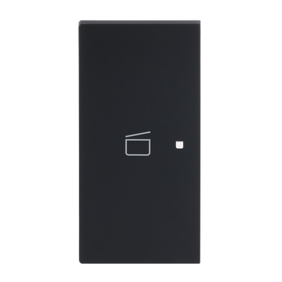 Wippe 2-fach links Symbol "Szene" 2-fach schwarz matt - Busch-art linear®