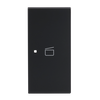 Wippe 2-fach rechts Symbol "Szene" 2-fach schwarz matt - Busch-art linear®