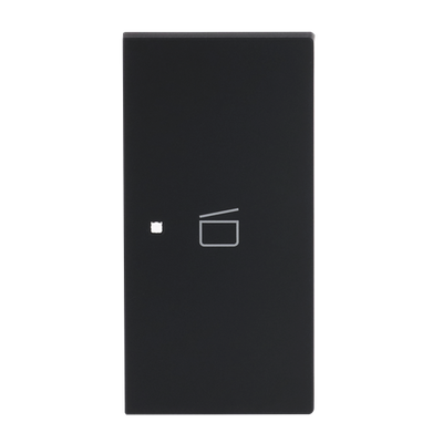 Wippe 2-fach rechts Symbol "Szene" 2-fach schwarz matt - Busch-art linear®