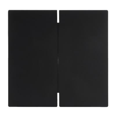 Wippe für Schalter/Taster, 2-fach schwarz matt - Busch-art linear®
