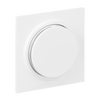 Zentralscheibe für Dimmer Drehknopf mit Glimmlampe studioweiß matt - Busch-art
