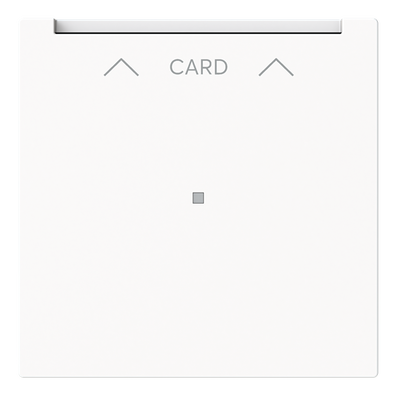 Cardschalter-Einsatz mit Zentralscheibe Symbol "Pfeile", CARD mit transparenter
