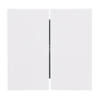 Wippe für Schalter/Taster, 2-fach studioweiß matt - Busch-art linear®