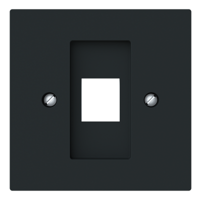 Zentralscheibe mit Tragring Modular-Jack 1-fach Busch-art linear®