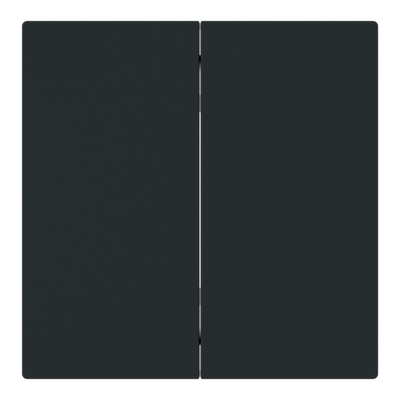 Wippe für Smart Switch 2-fach schwarz matt - Busch-art linear®