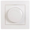 Phasenabschnittsdimmer 220-240V AC 5W-300W inkl. Abdeckung