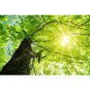 DOTLUX Motivplatte SKYLIGHT für Einbaupanels Motiv 1 Raster 1x1 für 620x620