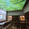 DOTLUX Motivplatte SKYLIGHT für Einbaupanels Motiv 1 Raster 1x1 für 620x620