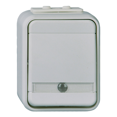 Universal-Schalter beleuchtet 10A AquaTop Steckklemme licht/basaltgrau